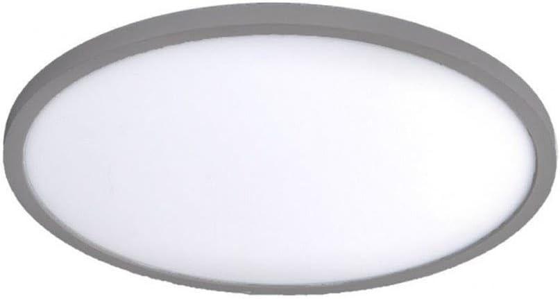 Simple Circle Dimmable LED Flush Mount Light