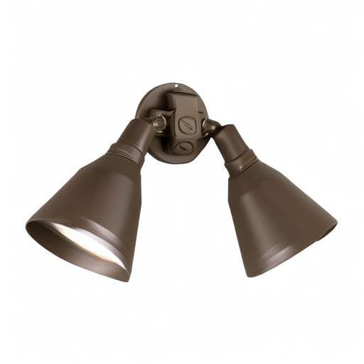 Progress Lighting Par 2-Light Outdoor Wall Light, Antique Bronze, Porcelain, Shade Included