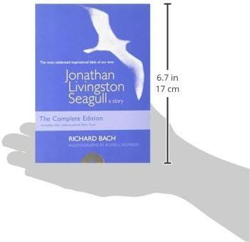 Jonathan Livingston Seagull: Inspirational Fable with Dreamy Illustrations