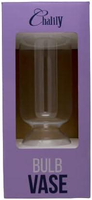 Tall Clear Glass Bulb Vase for Hydroponic Plants