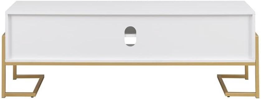 Everly Quinn 60" 2-Drawer TV Stand for TVs up to 65"