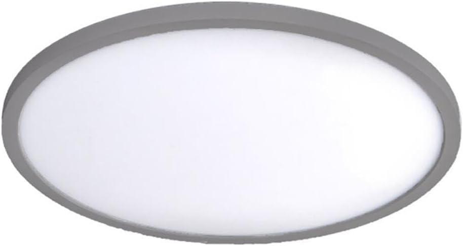 Simple Circle Dimmable LED Flush Mount Light