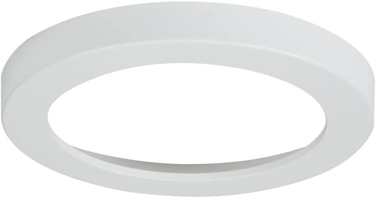 Satin Nickel 4'' LED Round Recessed Indoor Light with Polystyrene Shade