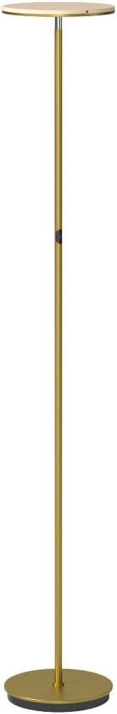 Brightech Flux 67 in. Industrial Dimmable LED Floor Lamp with Adjustable Head
