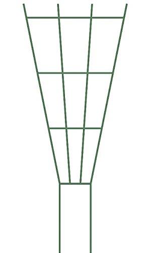 Green 36-Inch Powder Coated Steel Fan Pot Trellis