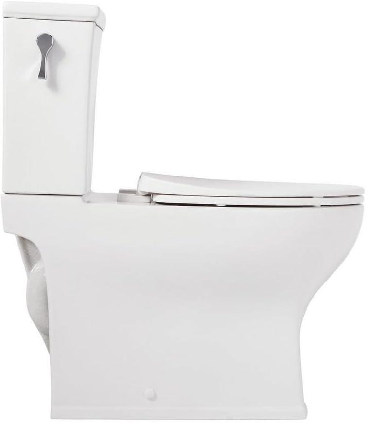 Carraway Two-Piece Skirted Elongated Toilet