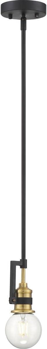 Matte Black and Brass Glass Mini Pendant Light