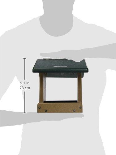 Birds Choice Birds Choice 8.75" Small Recycled Plastic Hanging Hopper 2-Sided Bird Feeder, Taupe/Green