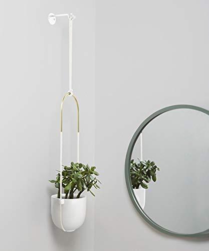 Umbra Bolo Ceramic Hanging Planter