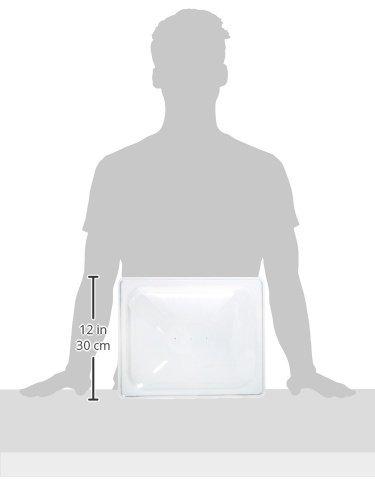 Clear Polycarbonate Dome Cover with Stainless Steel Handle