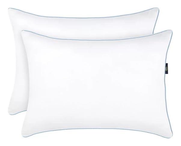 Serta Perfect Sleeper Comfy Sleep Eco-Friendly Bed Pillow Standard/Queen (2 Pk)