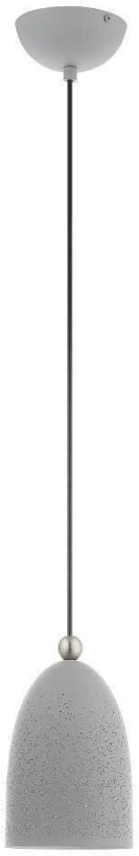 Livex Lighting Arlington 1 - Light Pendant in Nordic Gray