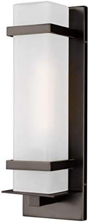 Alban 1-Light Satin Aluminum Outdoor Wall Lantern Sconce with LED Bulb