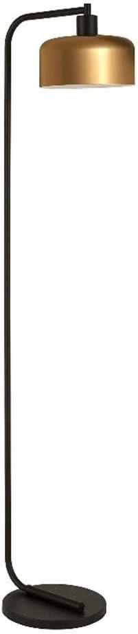 Evelyn&Zoe Cadmus 57" Tall Floor Lamp with Metal shade in Blackened Bronze/Brass/Brass