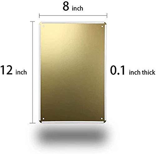 GCOCL Rainbow Trout Brook Trout Brown Trout Retro Metal Decor Wall Plaque Vintage Tin Sign for House Cafe Club Home Or Bar