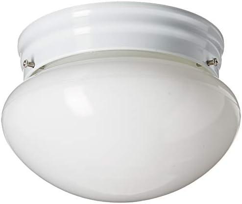 Webster 1-Light White Flush Mount with LED Bulb