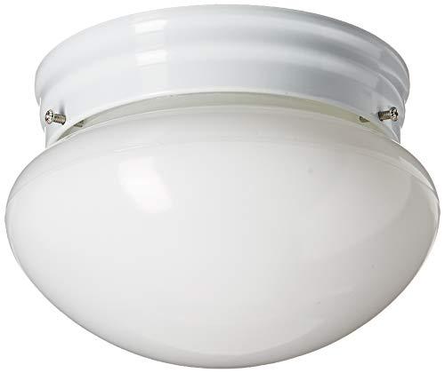 Webster 1-Light White Flush Mount with LED Bulb