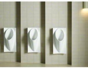 Steward® Waterless Wall Mounted Urinal