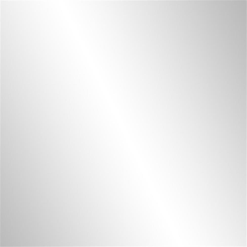 Maklaine Transitional 2 Door Mirrored Sideboard in Matte Silver