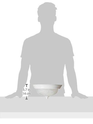 Alabaster Glass Flush Mount Light