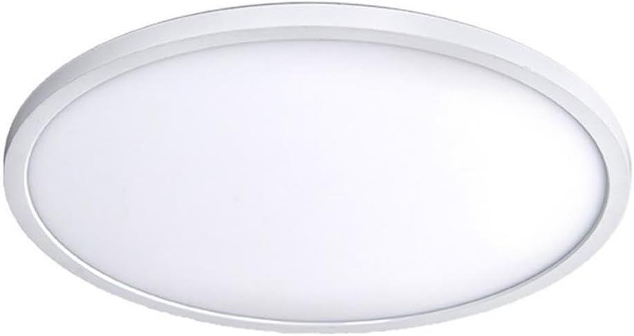 Simple Circle Dimmable LED Flush Mount Light