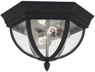 Wynfield Black and Clear Glass 2-Light Outdoor Flush Mount Ceiling Light