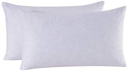 White Hypoallergenic Microfiber Pillow Inserts, 12" x 20", Set of 2