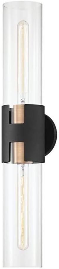 Amado Brass & Black 2-Light Dimmable Wall Sconce with Clear Glass Shades