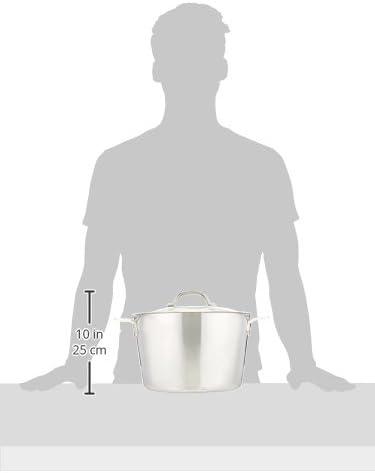 Viking Professional 5-Ply Stainless Steel Stock Pot