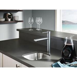 Trinsic Single Handle Kitchen Faucet
