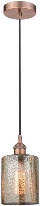 Cobbleskill 1 - Light Single Drop Pendant Pendant