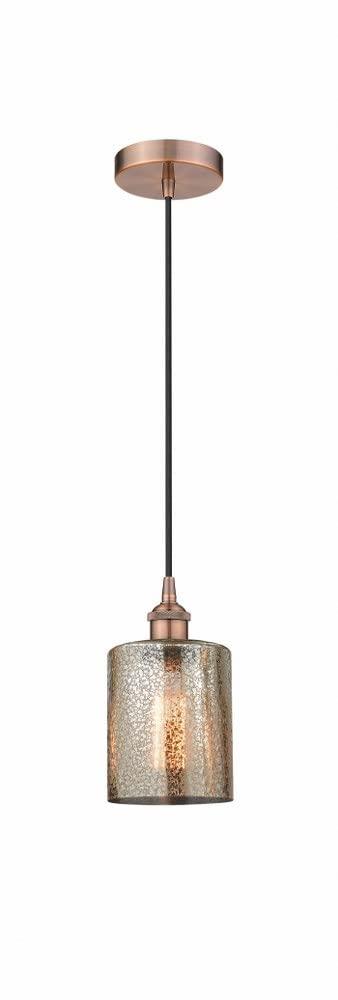 Cobbleskill 1 - Light Single Drop Pendant Pendant