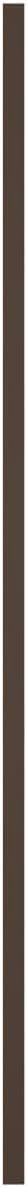 Builders Edge, TailorMade Two Equal Panels, Raised Panel Shutters, Includes Matching Installation Spikes (Per Pair) | Wayfair