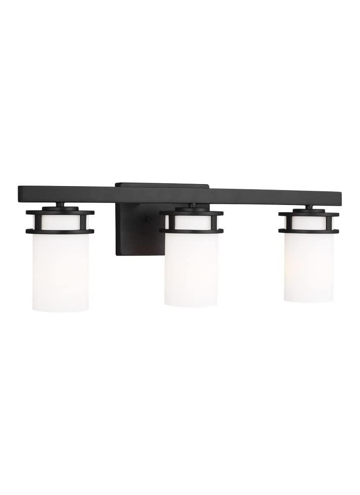 SEA Gull 4421603-962 Three Light Wall/Bath
