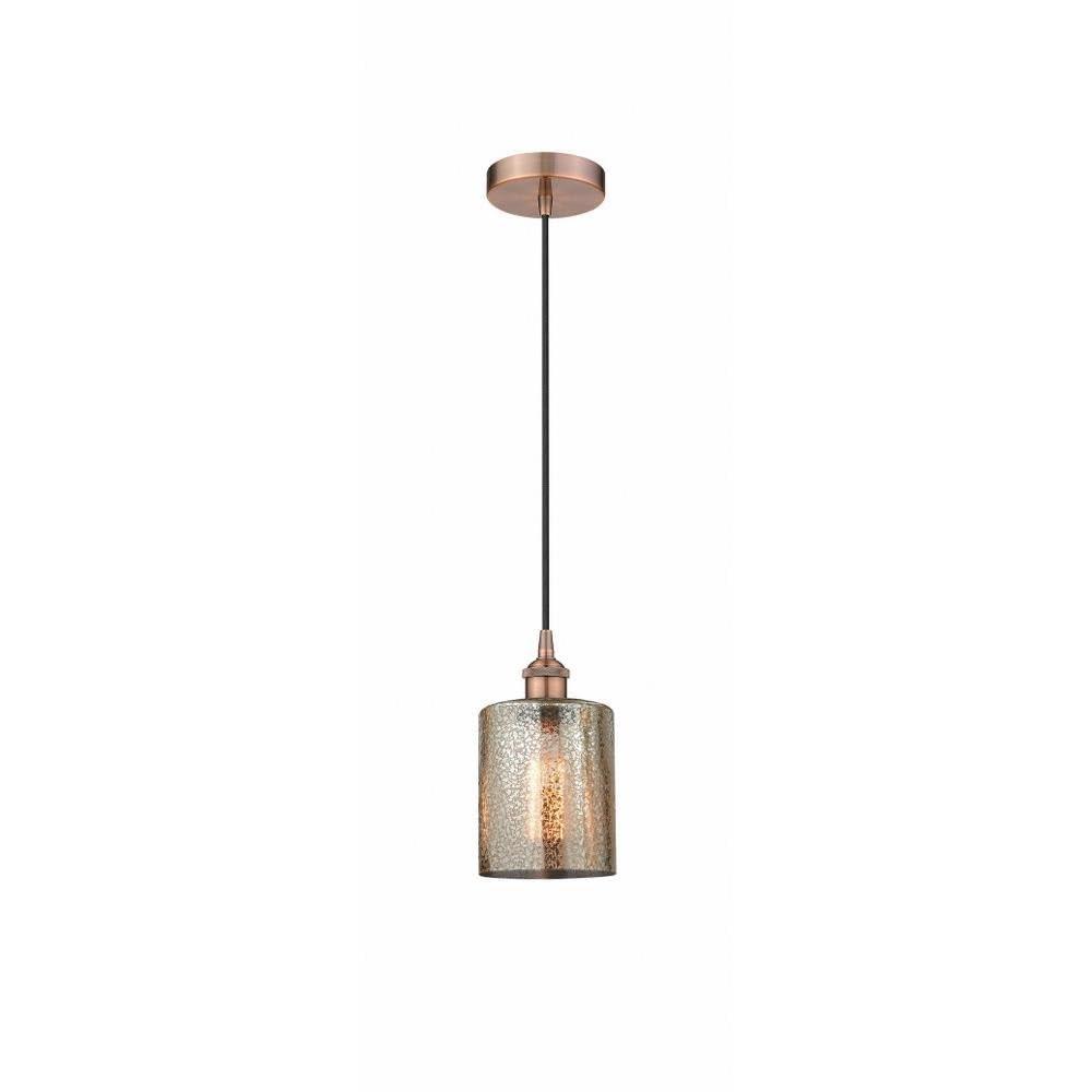 Cobbleskill 1 - Light Single Drop Pendant Pendant