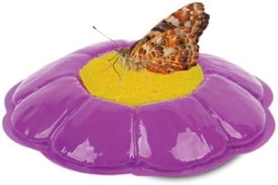 Insect Lore Giant Butterfly AIF9 Garden with Voucher | 18 Inch Habitat | Life Cycle Figurines Included | Voucher to Redeem 5 Baby Caterpillars Later | Raise Painted Lady Butterflies