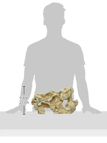 Underwater Treasures Pitted Rock Wall - Medium