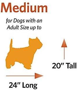 Collapsible Pet Crate