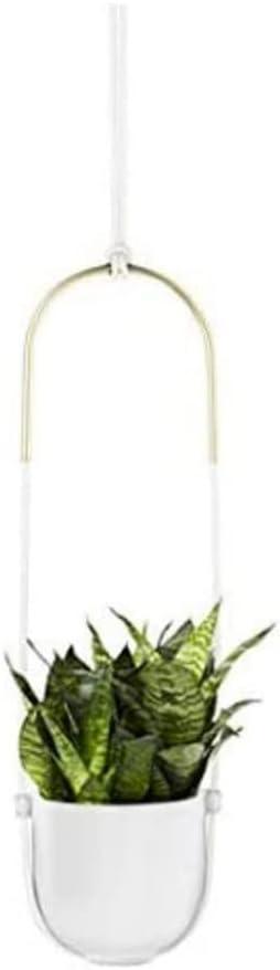 Umbra Bolo Ceramic Hanging Planter