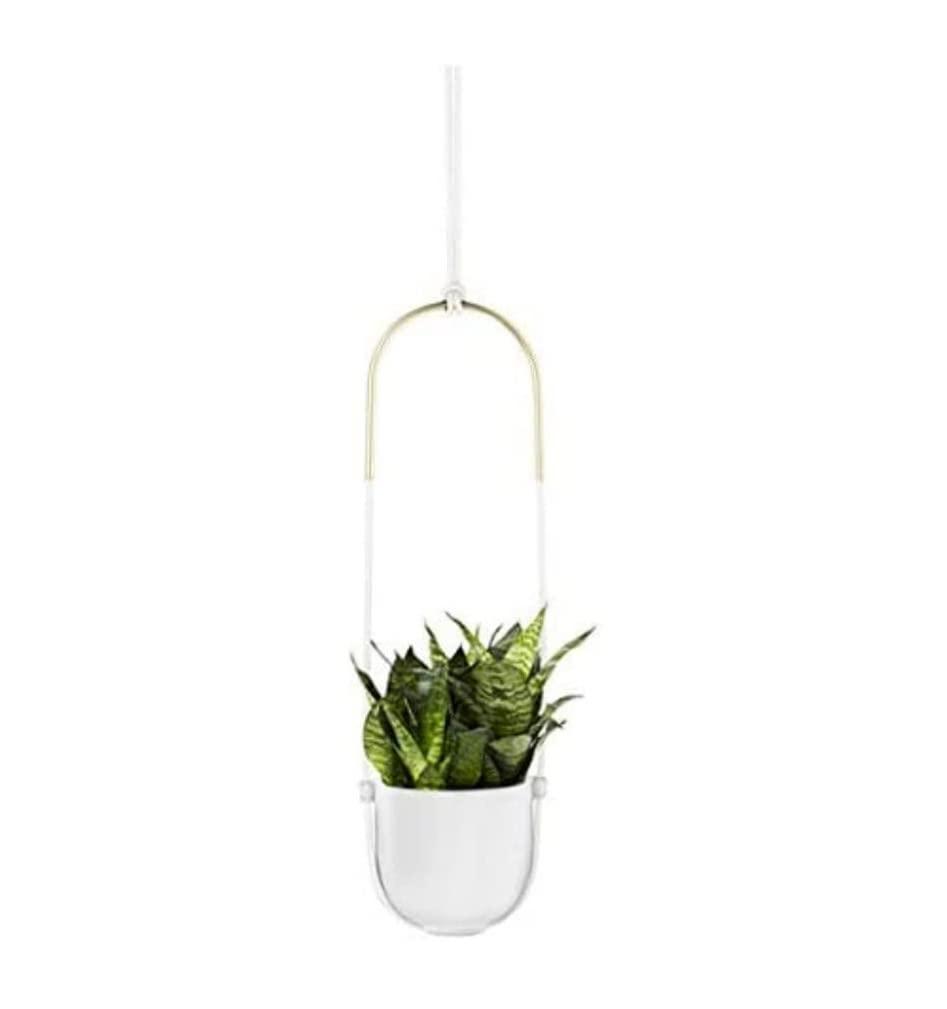 Umbra Bolo Ceramic Hanging Planter