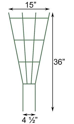 Green 36-Inch Powder Coated Steel Fan Pot Trellis