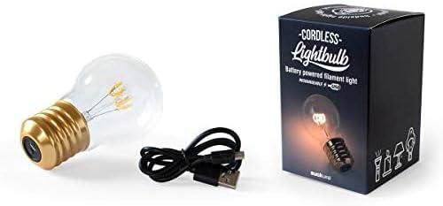 Cordless Glass and Metal LED Filament Light Bulb