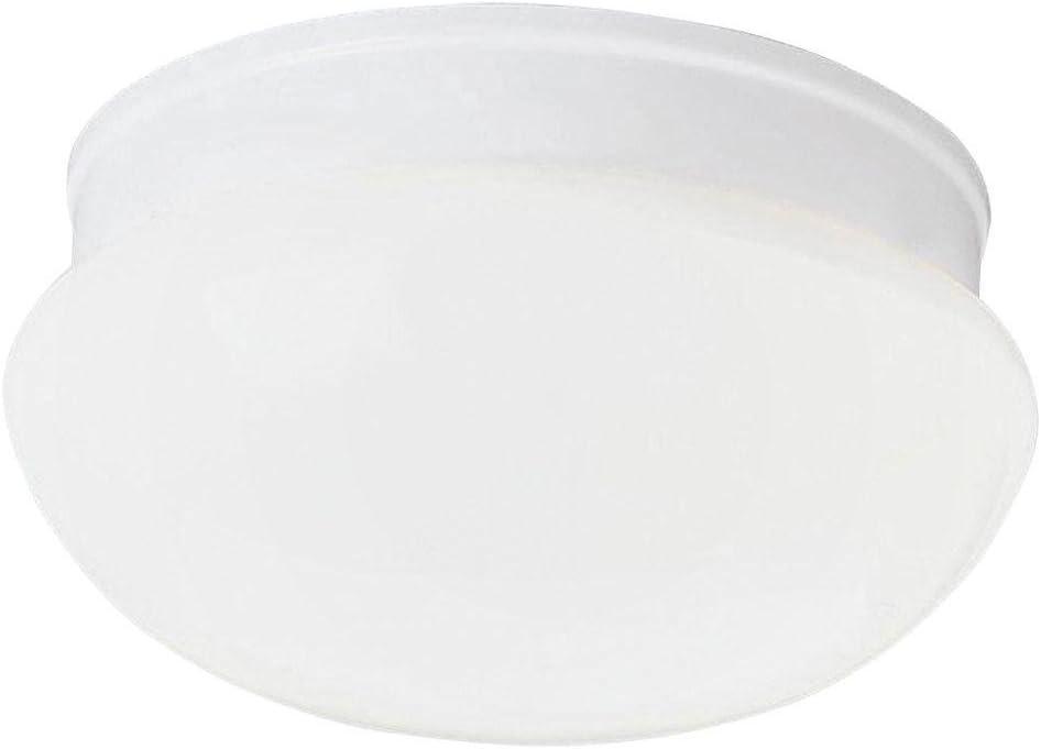Progress Lighting, Fitter Collection, 2-Light Flush Mount, Brushed Nickel, White Glass Bowl