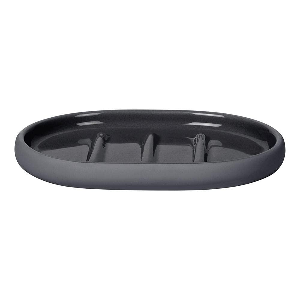 Blomus 66286 5.1 x 3.9 x 0.7 in. Sono Soap Dish, Magnet