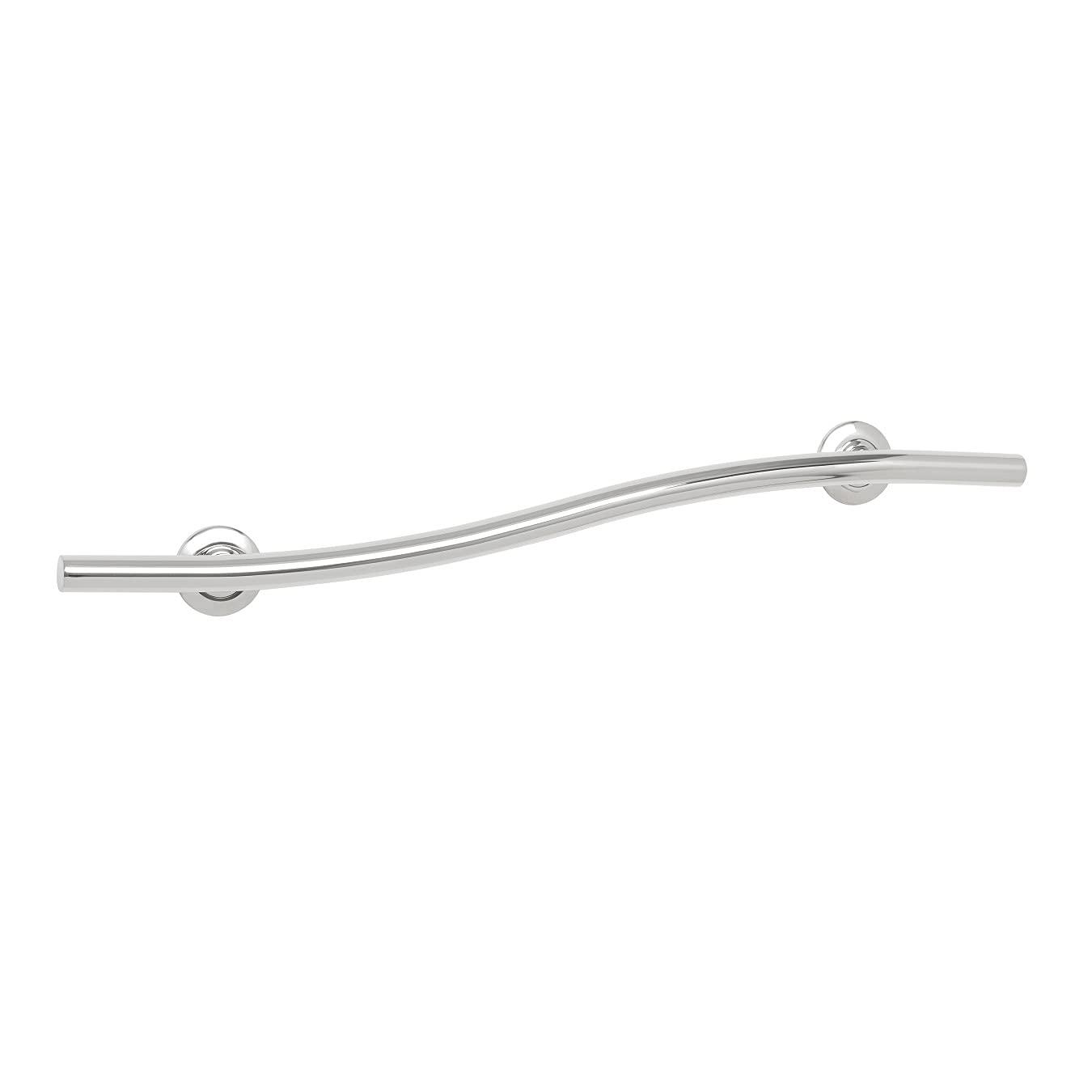 Lifestyle & Wellness Stainless Steel Wave Grab Bar