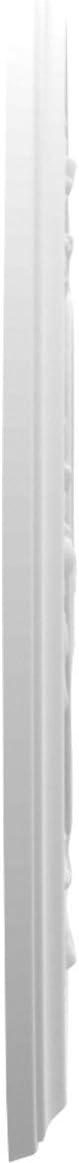 Ekena Millwork Baltimore Thermoformed Ceiling Medallion CMP10BA