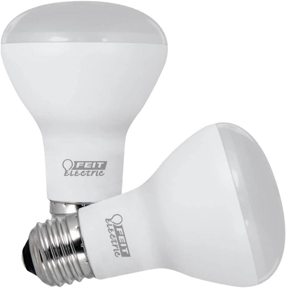 Soft White Frosted LED Dimmable Reflector Bulbs, 2-Pack