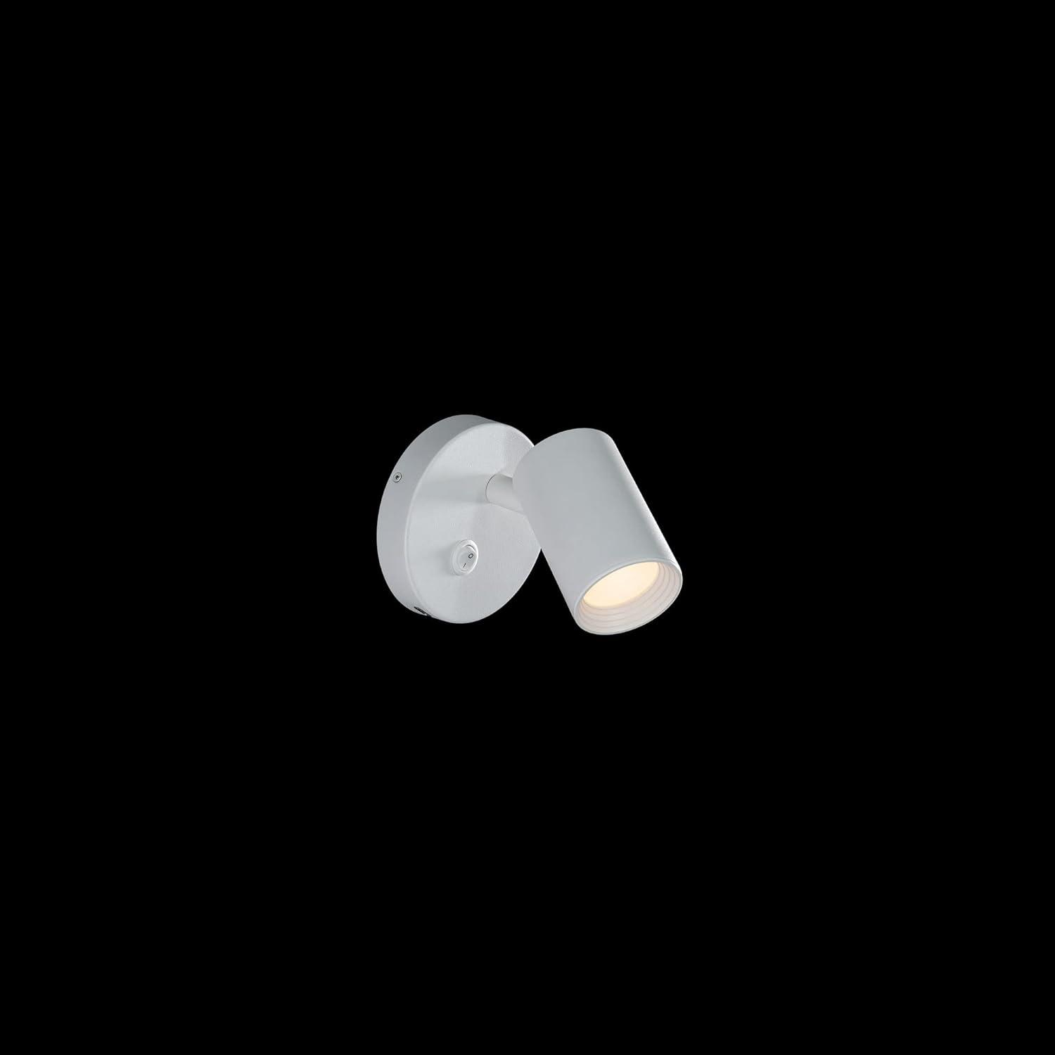 Kepler Single Light Glass Dimmable LED Spotlight
