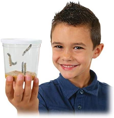Insect Lore Giant Butterfly AIF9 Garden with Voucher | 18 Inch Habitat | Life Cycle Figurines Included | Voucher to Redeem 5 Baby Caterpillars Later | Raise Painted Lady Butterflies
