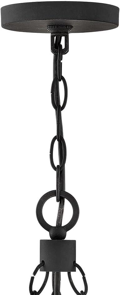 Hinkley Lighting - Sawyer - 30W 6 LED Outdoor Medium Hanging Lantern In Rustic